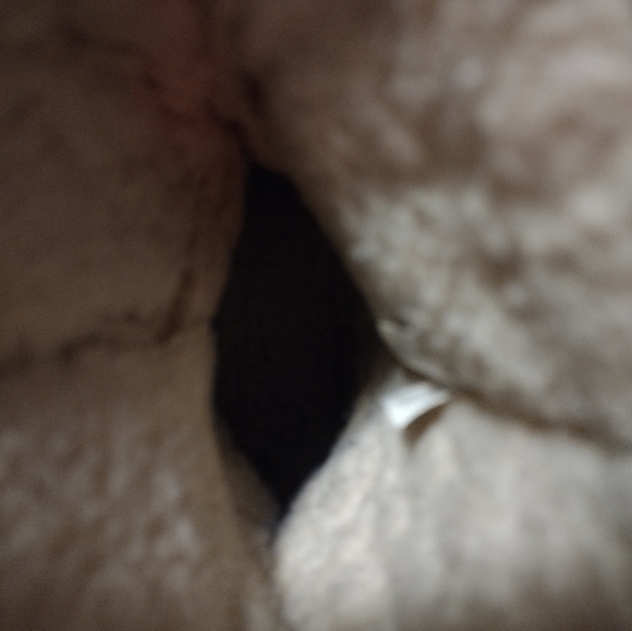 Bearpaw Women's Elle Short Wide Boot - Picture 5 of 7